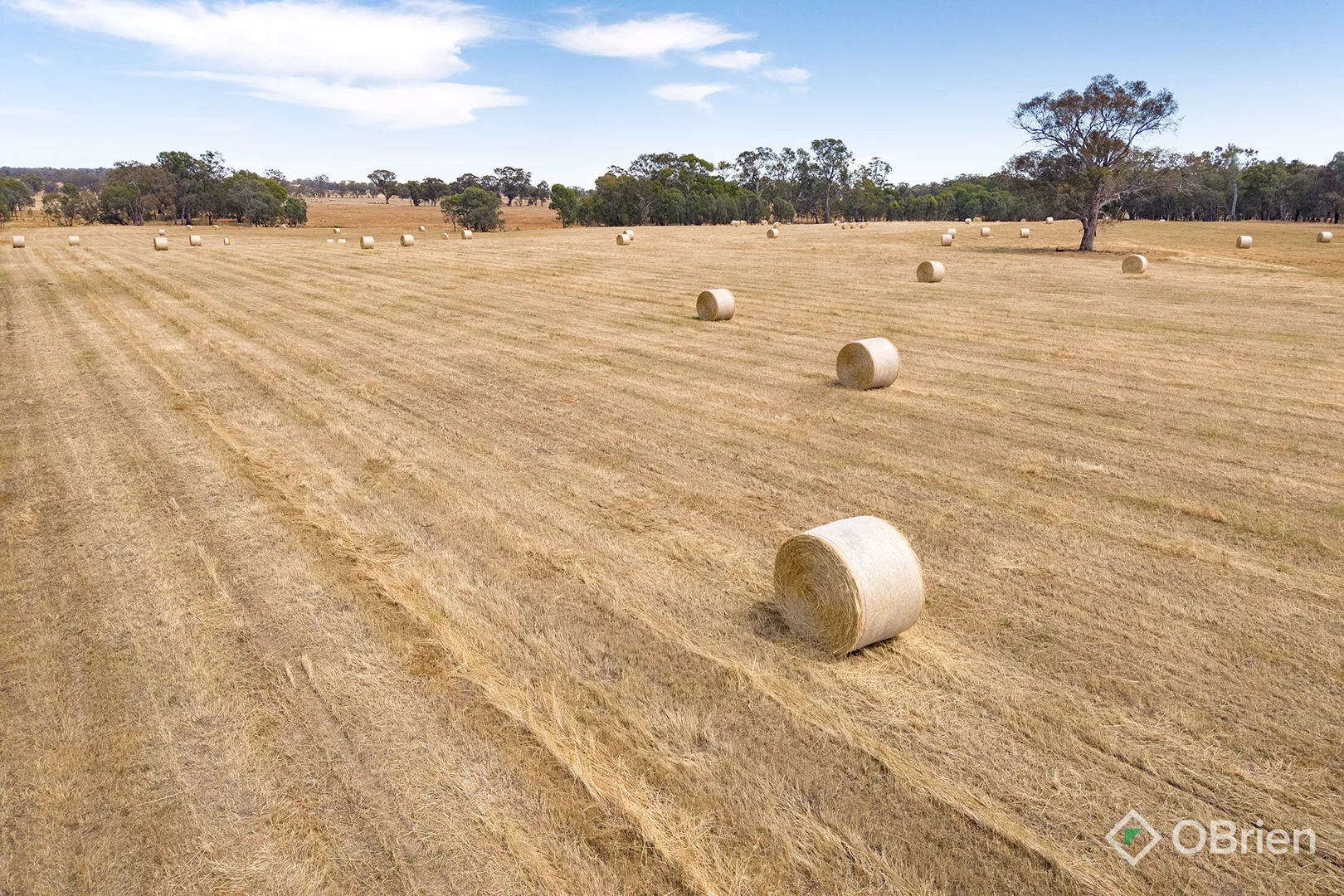 Additional image 2 of 134 Soldiers Road, Barnawartha VIC 3688