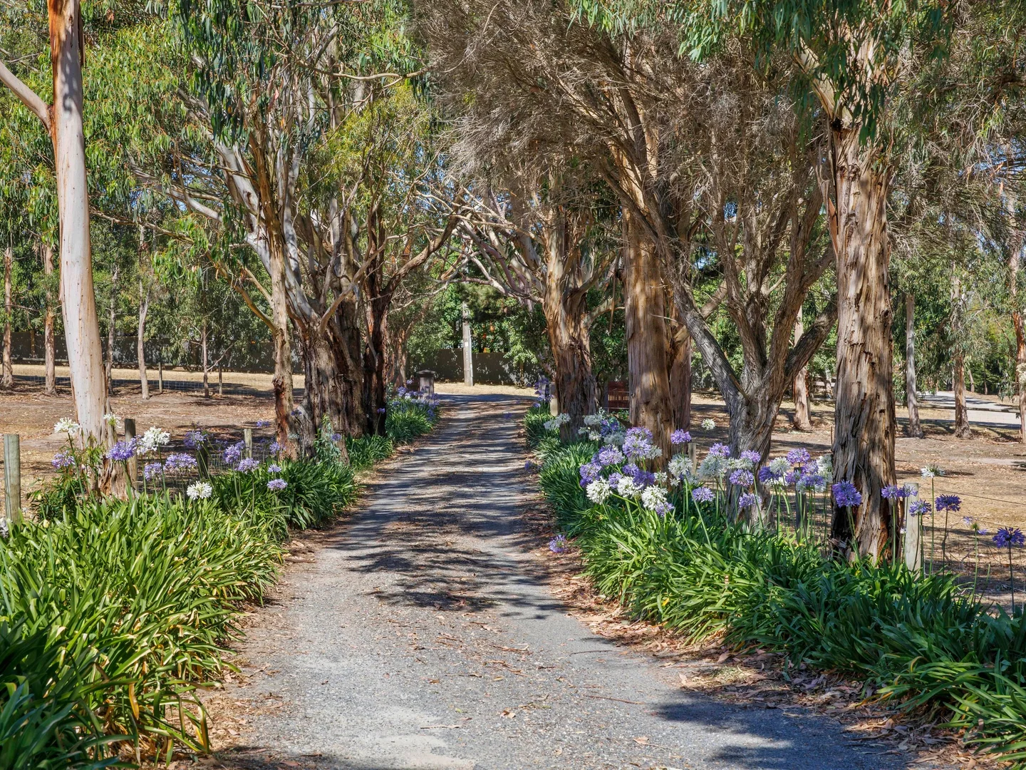 Additional image 22 of 51 Dunns Road, Mount Martha VIC 3934