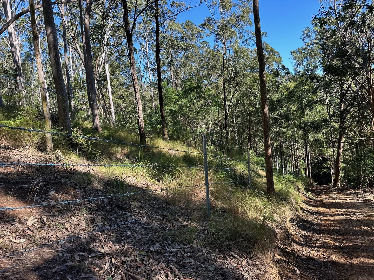 Additional image 13 of 129 Quartpot Creek Road, Dungog NSW 2420