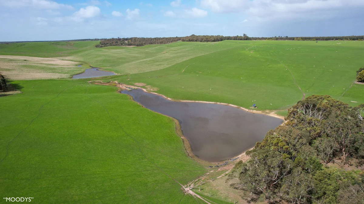 Additional image 23 of 3960 Dartmoor-Hamilton Road, Grassdale VIC 3302
