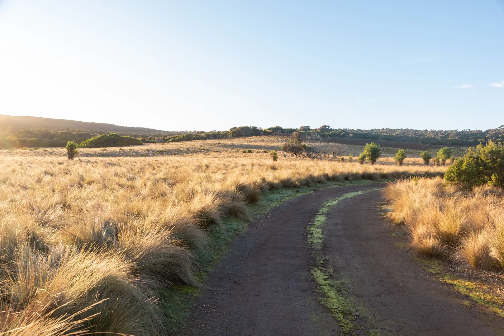 Additional image 15 of Lot 3 Boat Harbour Road, Killiecrankie TAS 7255
