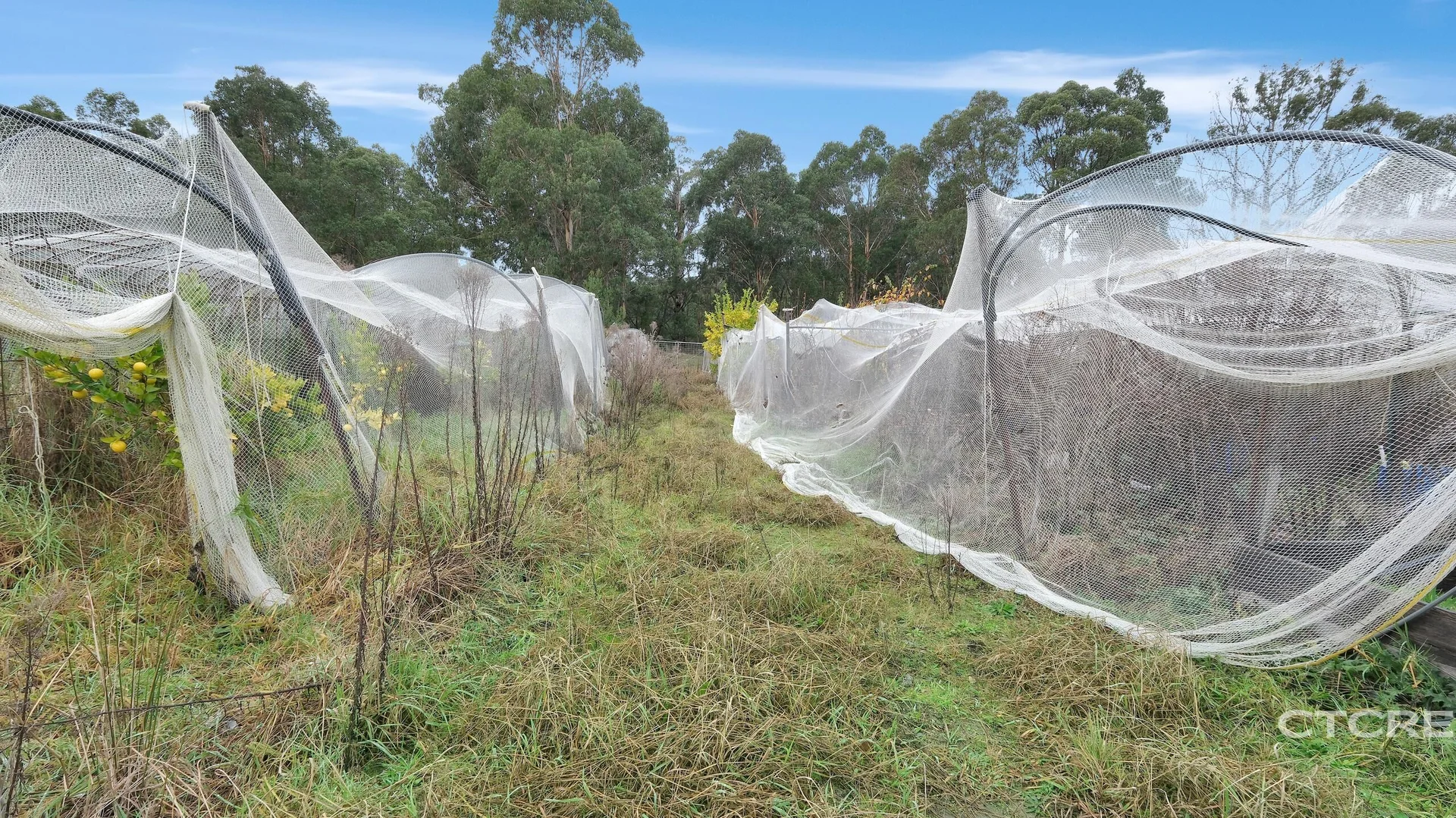 Additional image 11 of 181 Tamboon Road, Cann River VIC 3890