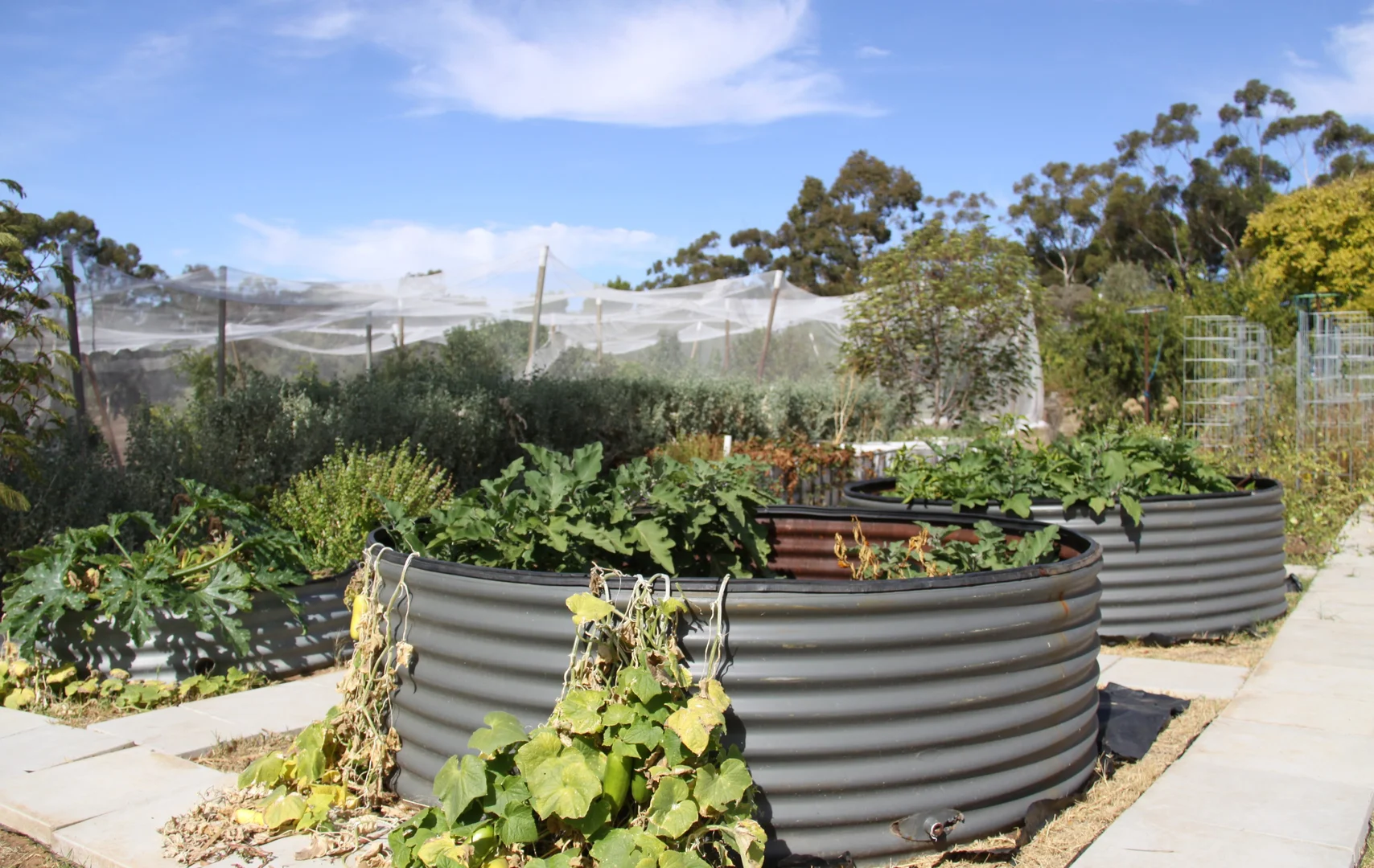 Additional image 24 of 93 Balmoral Road, Kalbeeba SA 5118