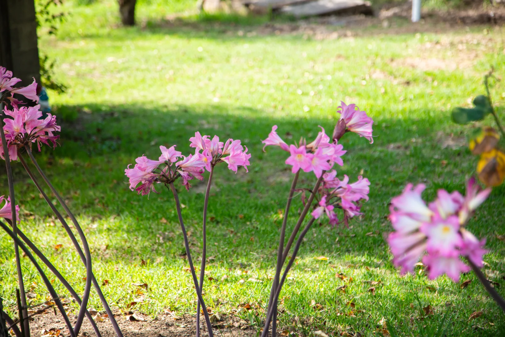 Additional image 22 of 290 Woods Hill Road, Ashton SA 5137