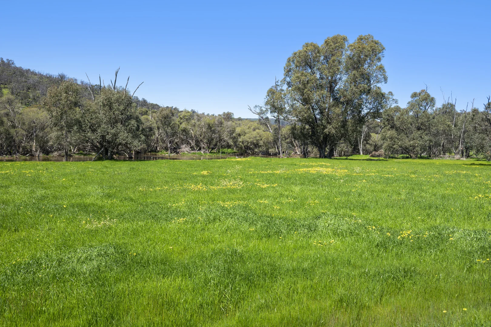 Additional image 8 of 54 Chittering Valley Road, Lower Chittering WA 6084