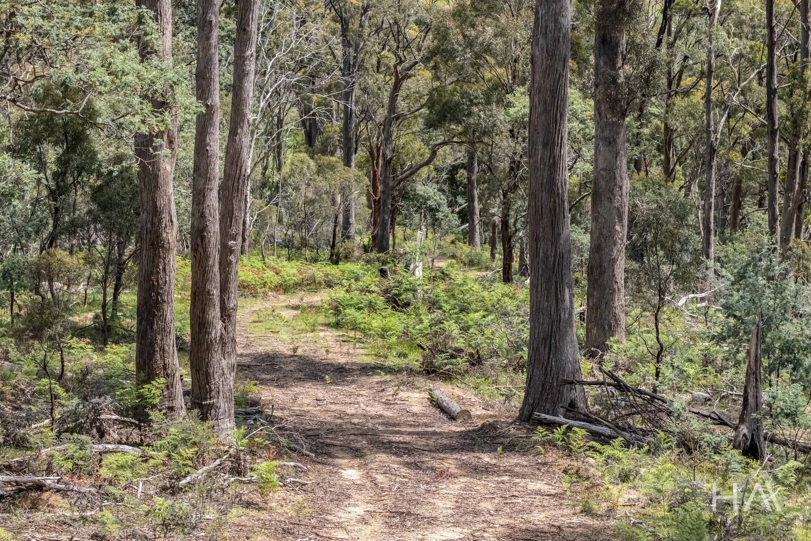 Additional image 5 of English Town Road, Deddington TAS 7212