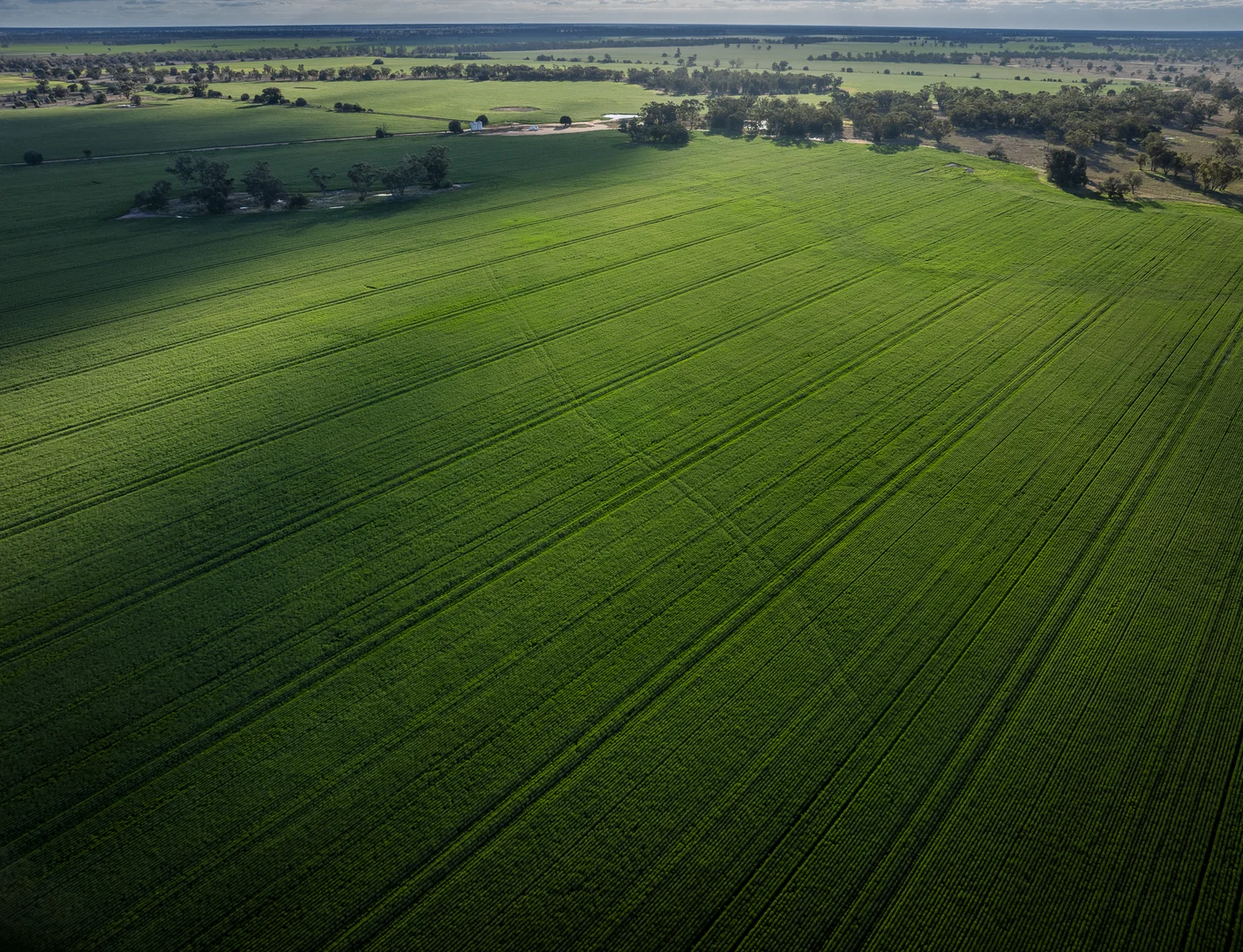 Additional image 11 of Bourbah 2598 Warren Road, Gulargambone NSW 2828