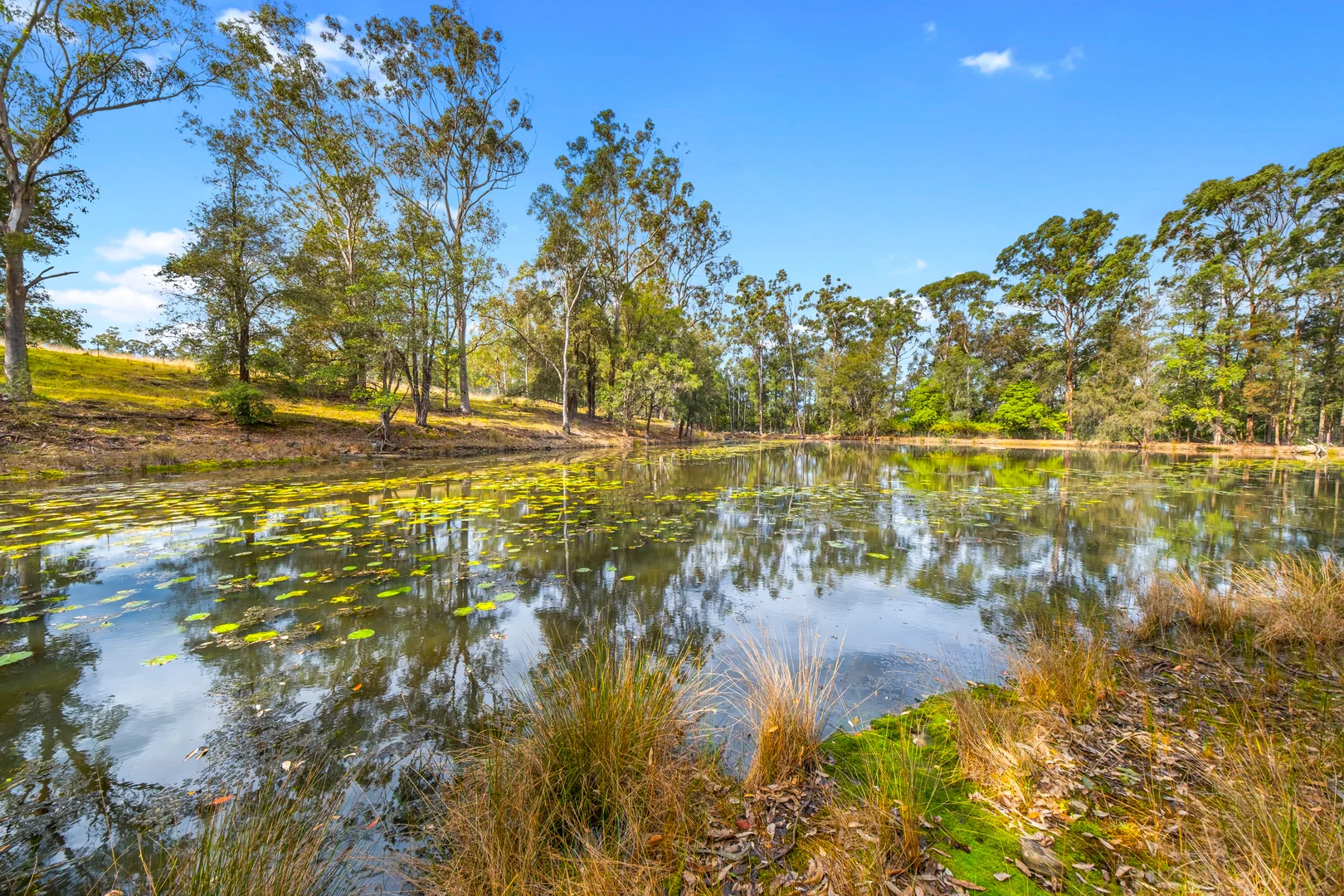 Additional image 18 of 708 East Kurrajong Road, East Kurrajong NSW 2758