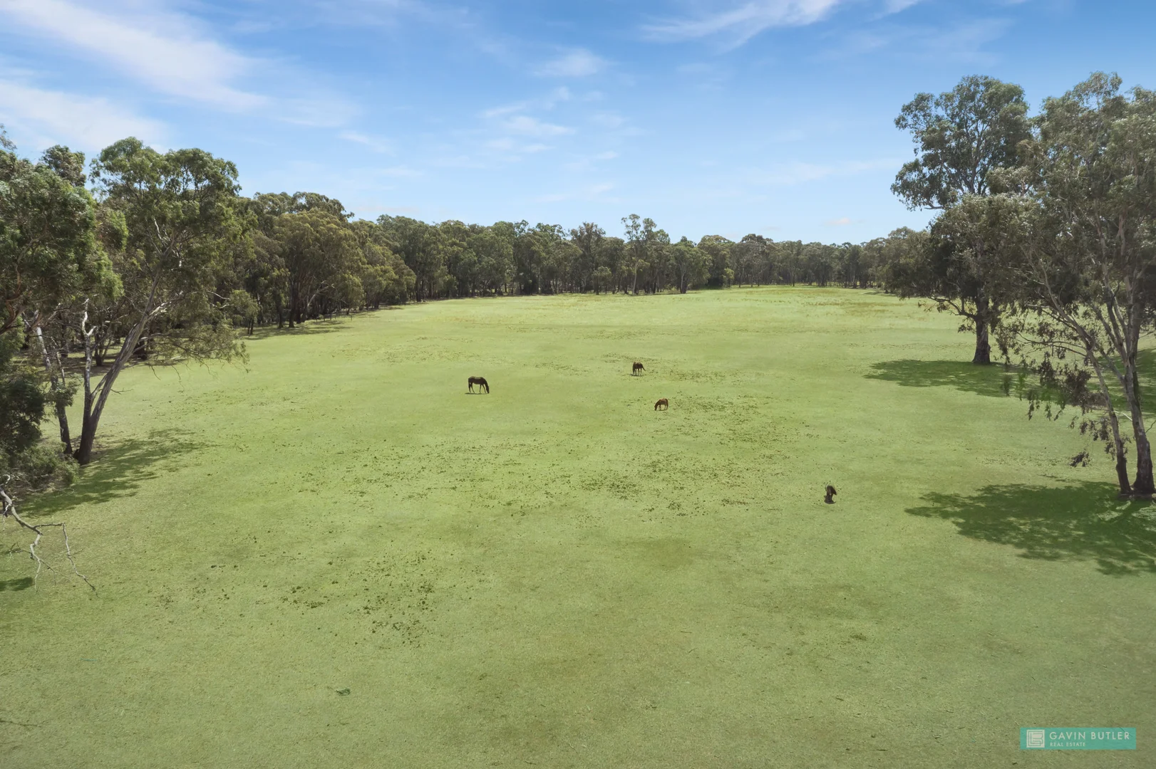 Additional image 5 of CA 152 Tackaberry Road, Eaglehawk VIC 3556