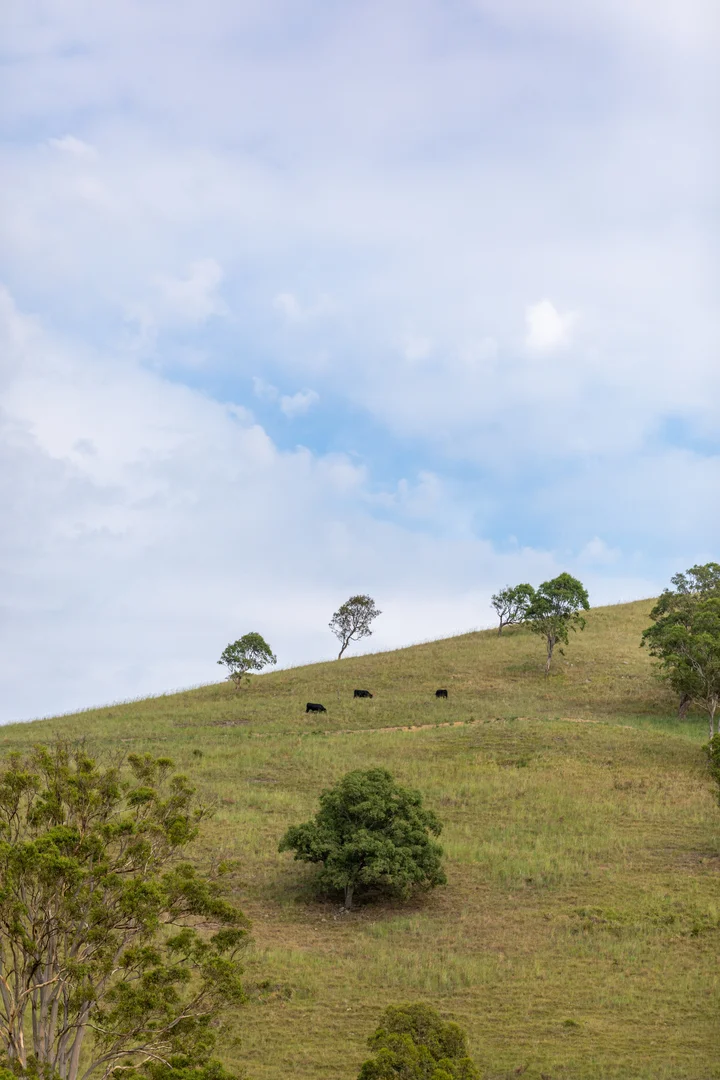 Additional image 9 of Lots 13-25 Glen William Road, Clarence Town NSW 2321