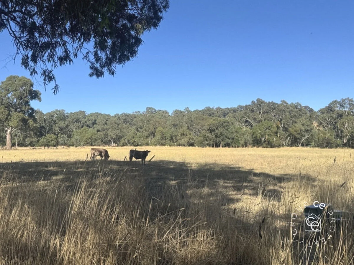 Additional image 33 of 30a Posen Road, Birdwood SA 5234