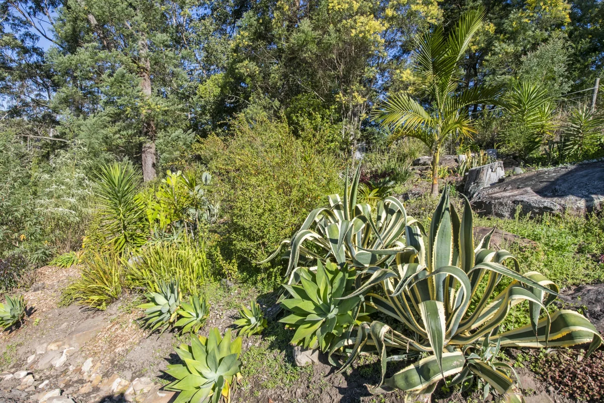 Additional image 24 of 8 Bishendens Road, Lisarow NSW 2250