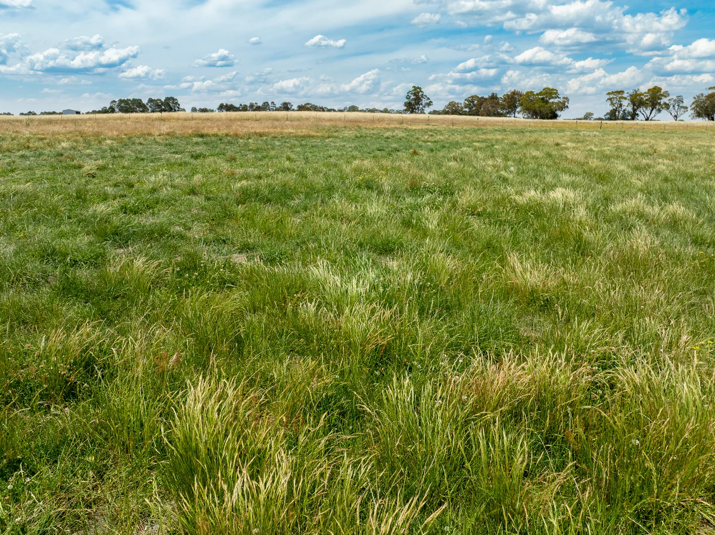 Additional image 27 of 56 Orchard Road, Springside NSW 2800