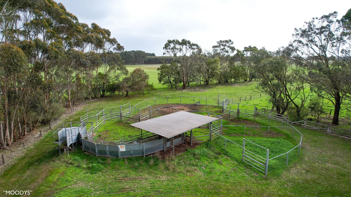 Additional image 26 of 3960 Dartmoor-Hamilton Road, Grassdale VIC 3302