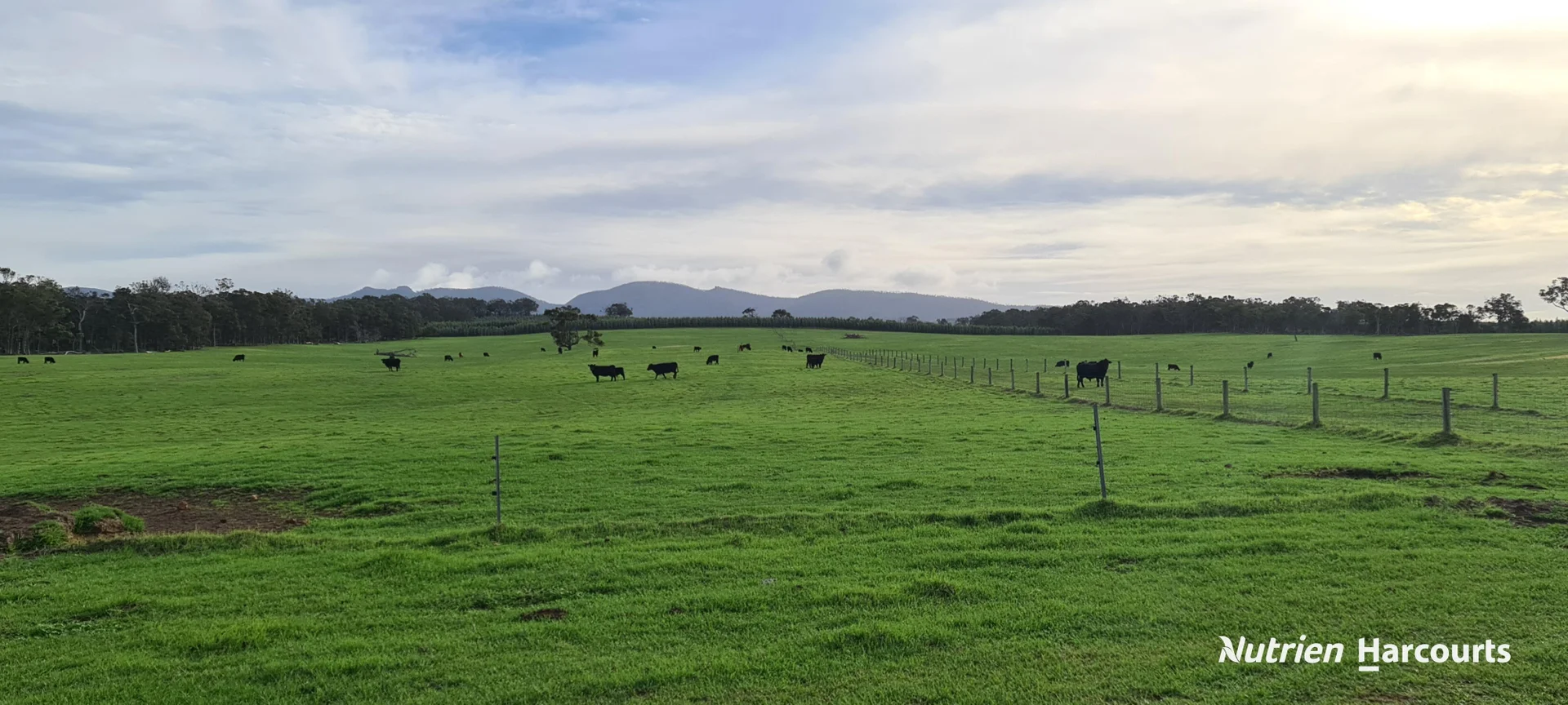 Additional image 25 of 2003 Settlement Road, Napier WA 6330