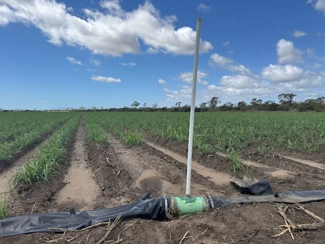 Additional image 14 of 218 Oats Road, Fredericksfield QLD 4806