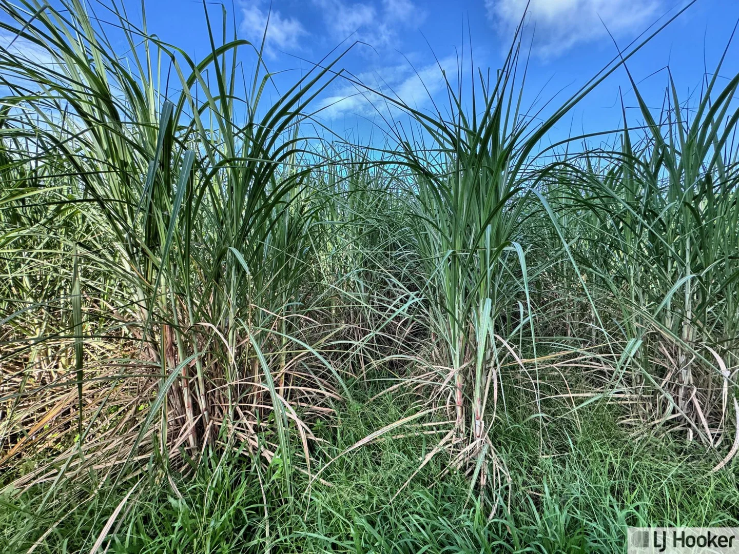 Additional image 4 of 328 Rockingham Road, Rockingham QLD 4854