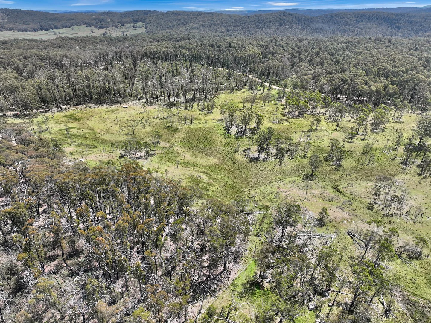 Additional image 31 of Lot 51 Tantawangalo Mountain Road, Cathcart NSW 2632