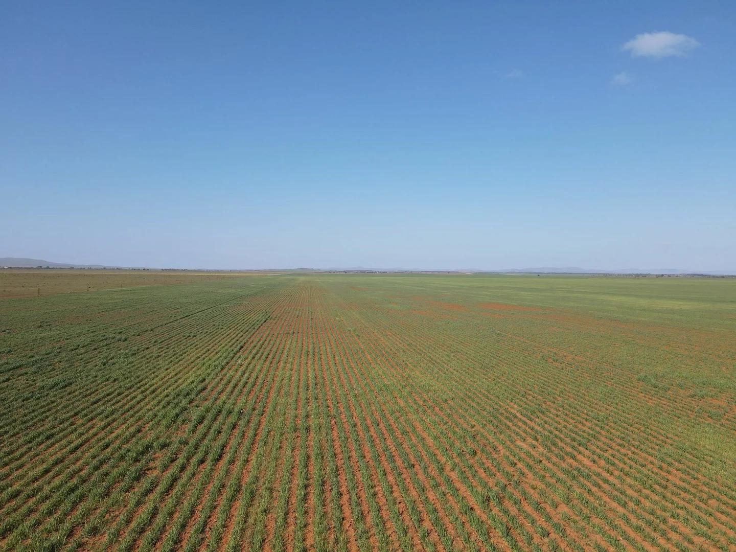 Additional image 14 of 'Daly's' Collins Road, Willowie SA 5431