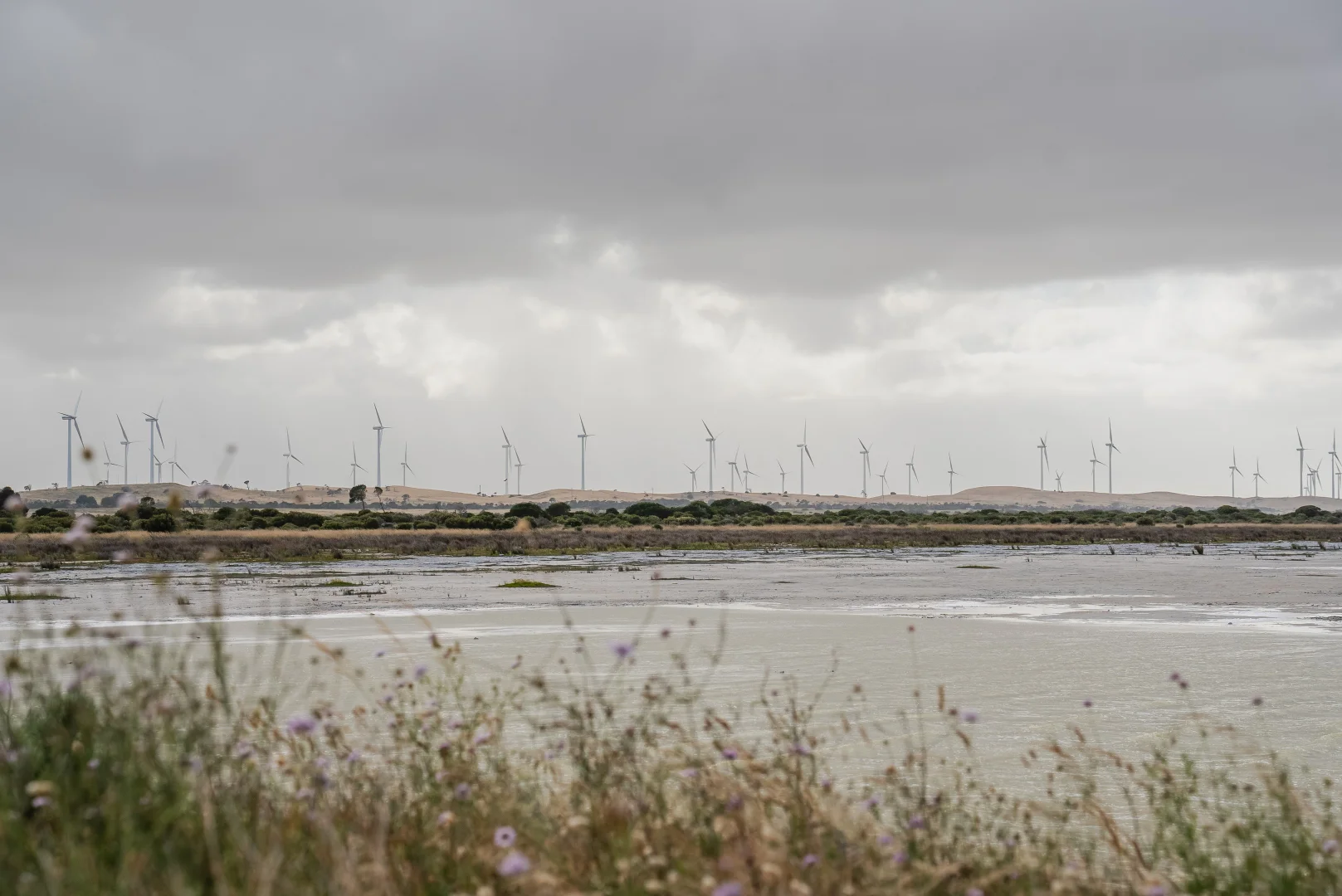 Additional image 5 of 54 Lake Bonney Access Road, Tantanoola SA 5280