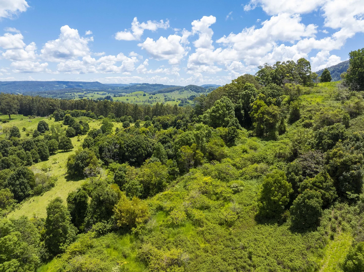 Additional image 36 of 353 Gungas Road, Nimbin NSW 2480