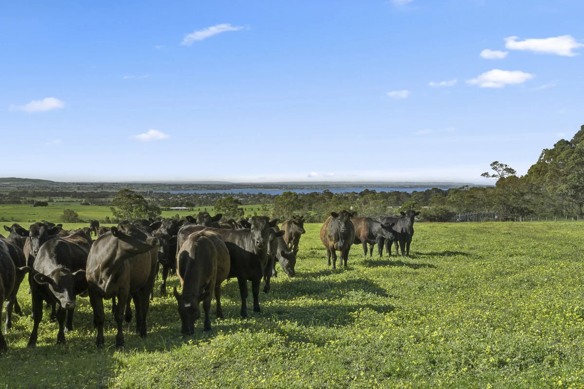 Additional image 17 of Christies Road, Elliminyt VIC 3250