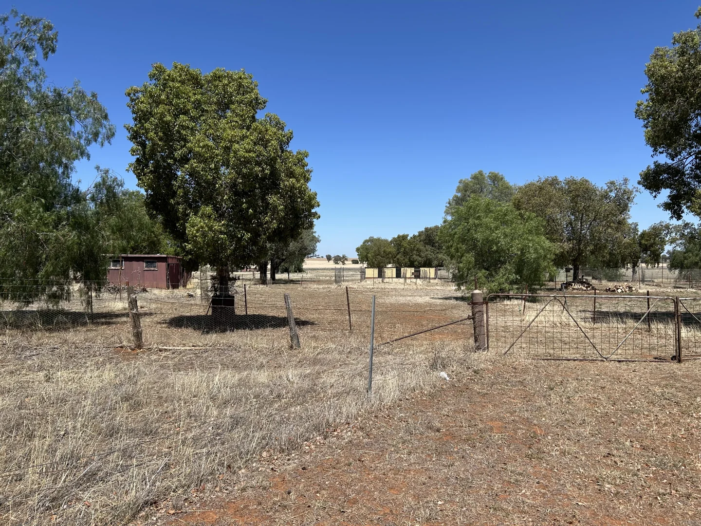 Additional image 4 of 48 FURNERS LANE, Trewilga NSW 2869