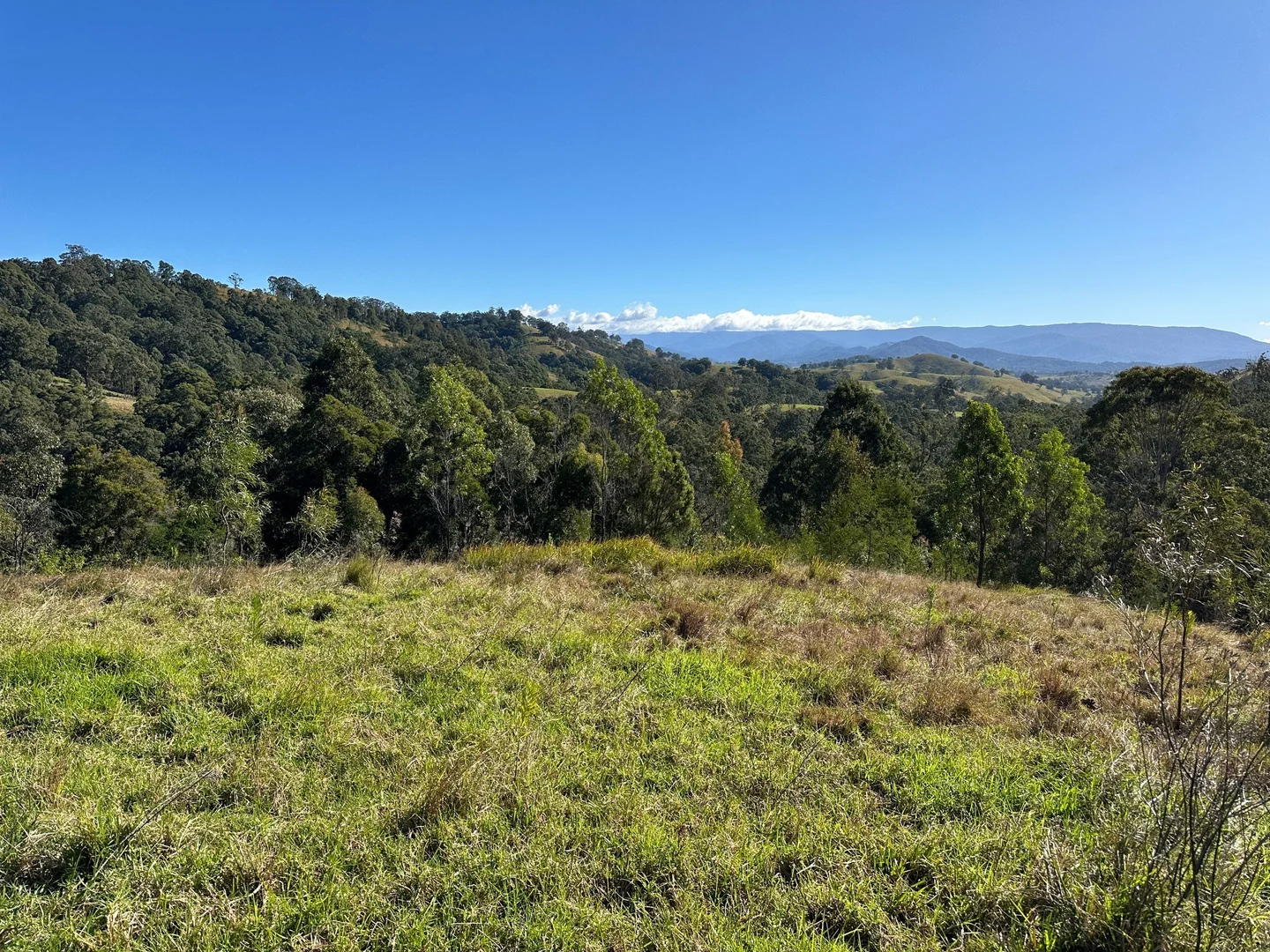 Additional image 16 of 129 Quartpot Creek Road, Dungog NSW 2420