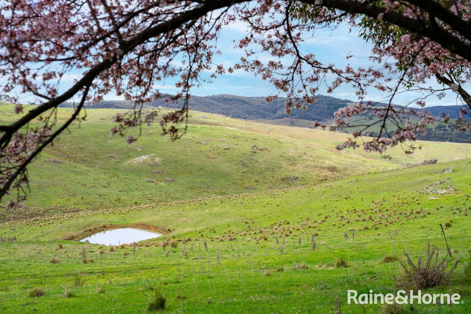 Additional image 21 of 2216 Freemantle Road, Freemantle NSW 2795