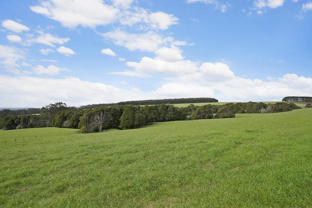 Additional image 11 of 4230 Colac-Lavers Hill Road, Weeaproinah VIC 3237