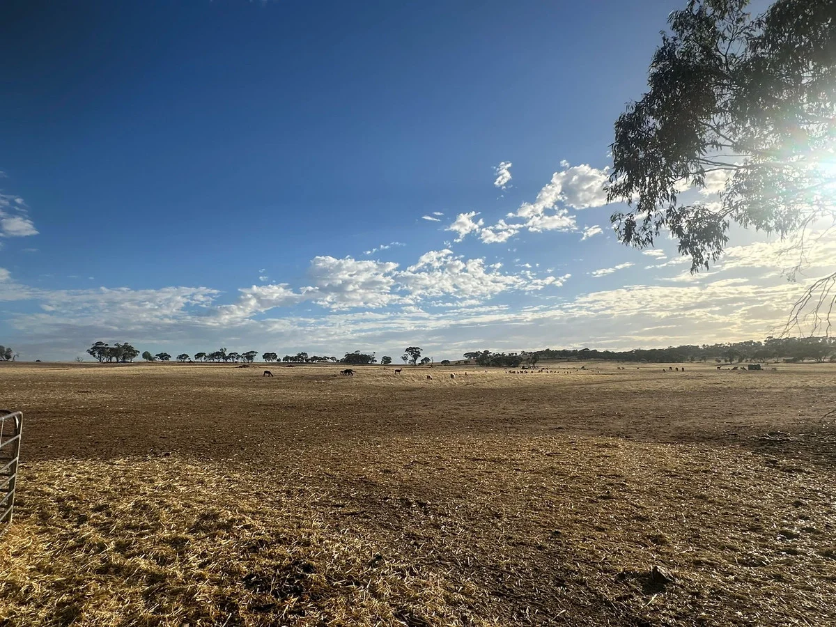 Additional image 5 of 2130 Long Forrest Road, Mumberkine WA 6401