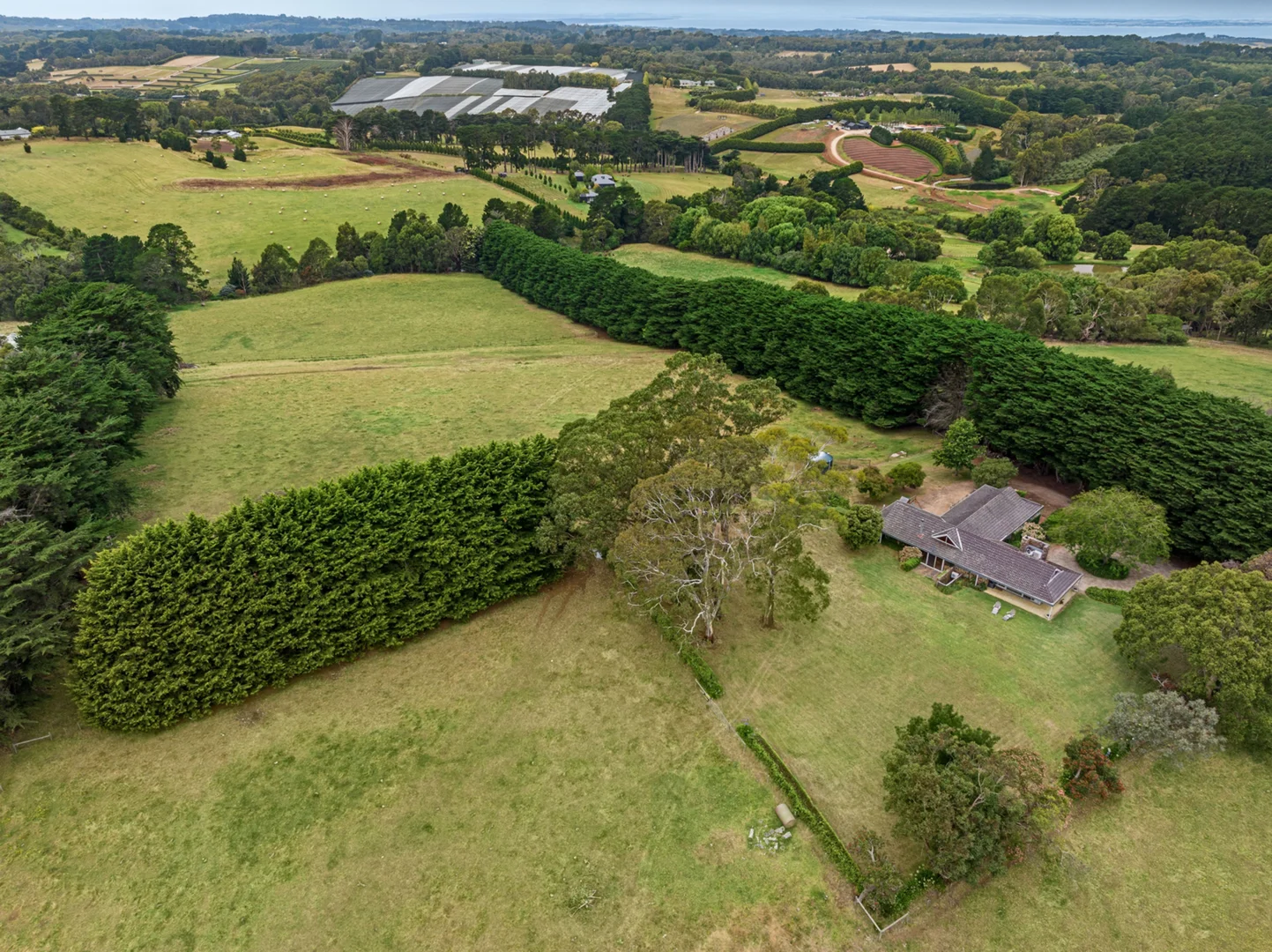 Additional image 16 of 350 Barkers Road, Main Ridge VIC 3928
