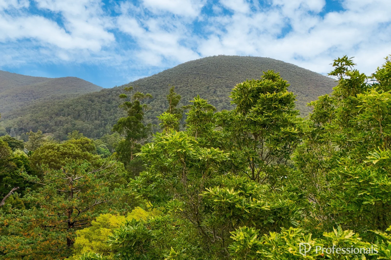 Additional image 27 of 6 Devon Street, Warburton VIC 3799