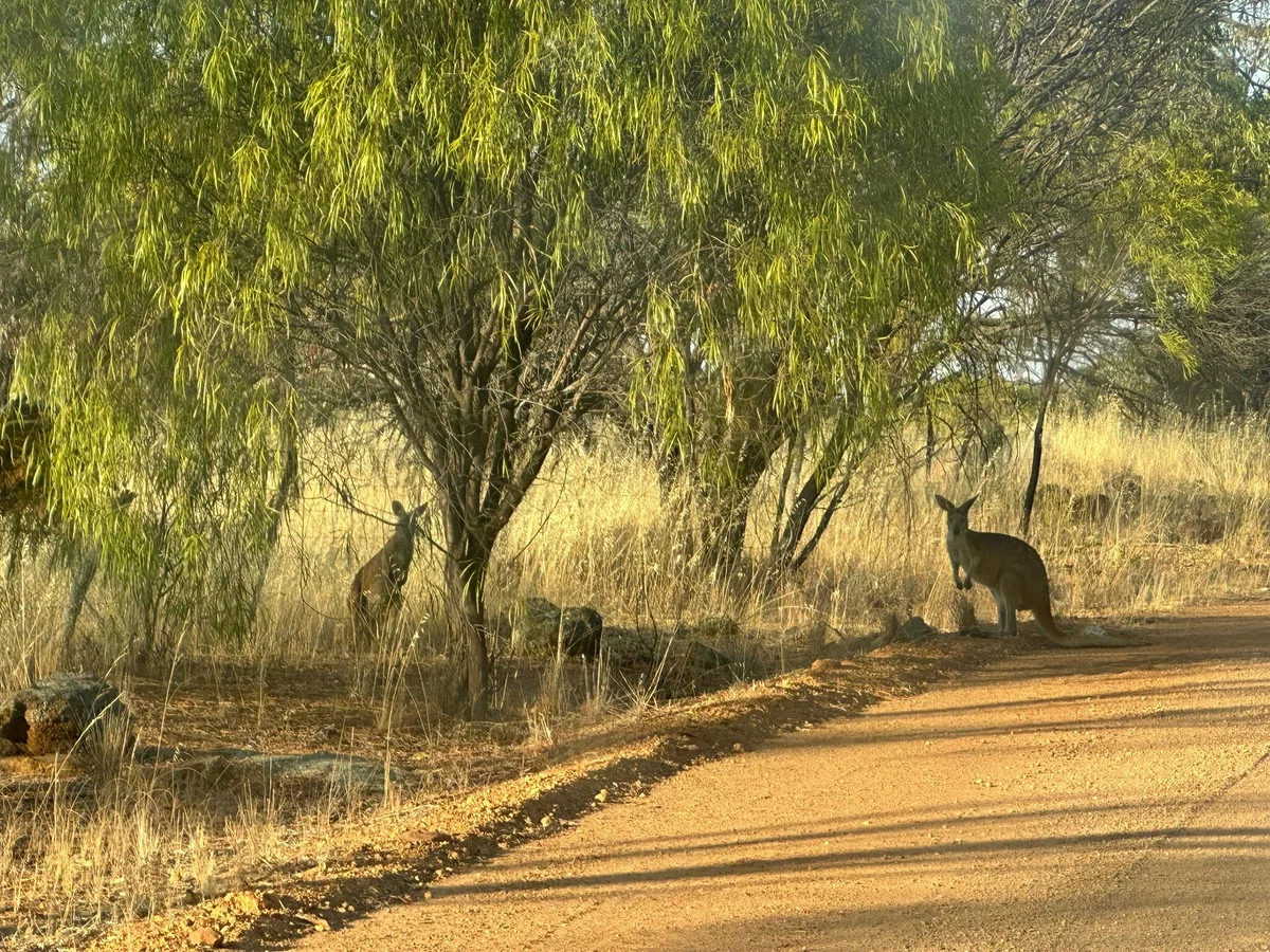 Additional image 13 of 2130 Long Forrest Road, Mumberkine WA 6401