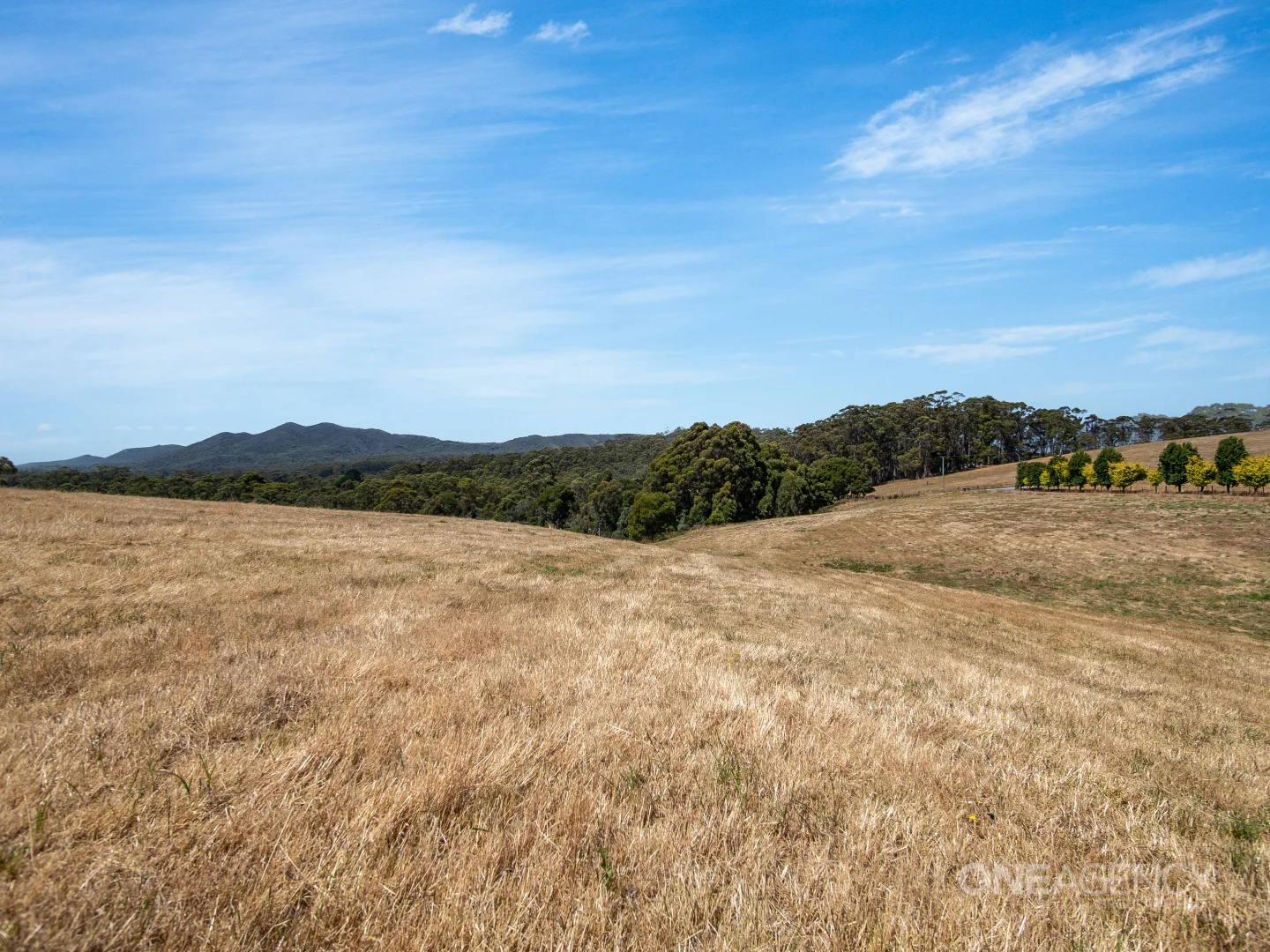 Additional image 14 of 154 Yanns Road, Rocky Cape TAS 7321