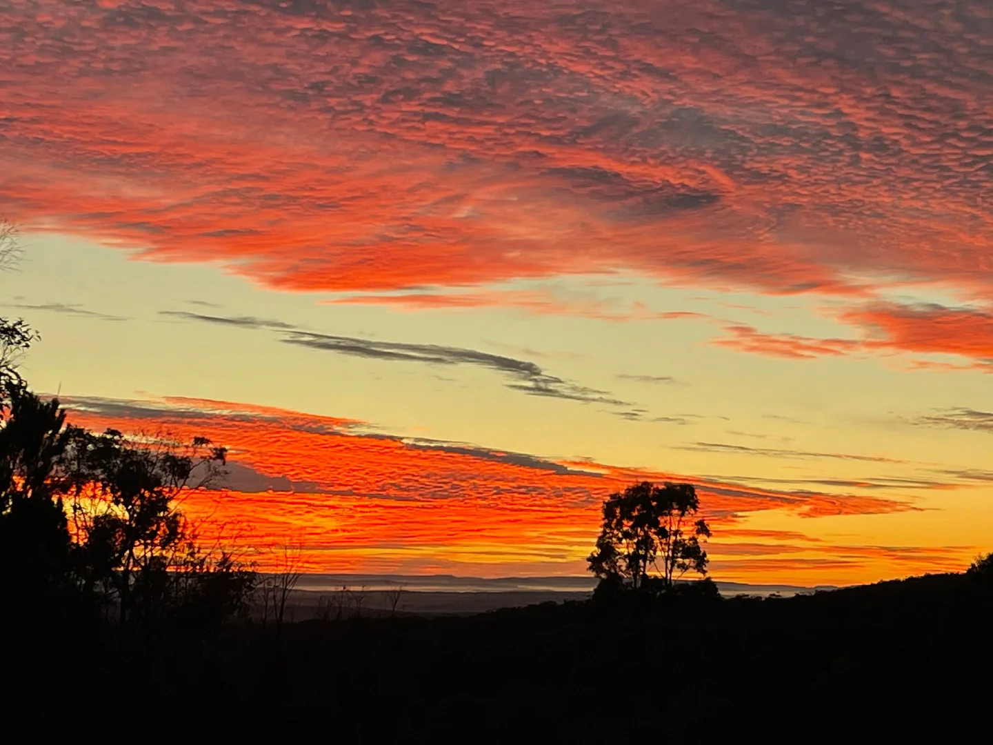 Additional image 28 of 274 Willow Glen Road, Lower Boro NSW 2580