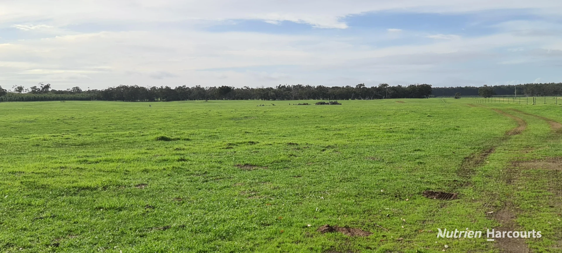 Additional image 13 of 2003 Settlement Road, Napier WA 6330