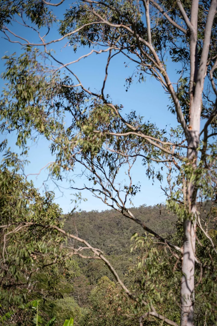 Additional image 11 of 15B Blue Hills Drive, Bunya QLD 4055