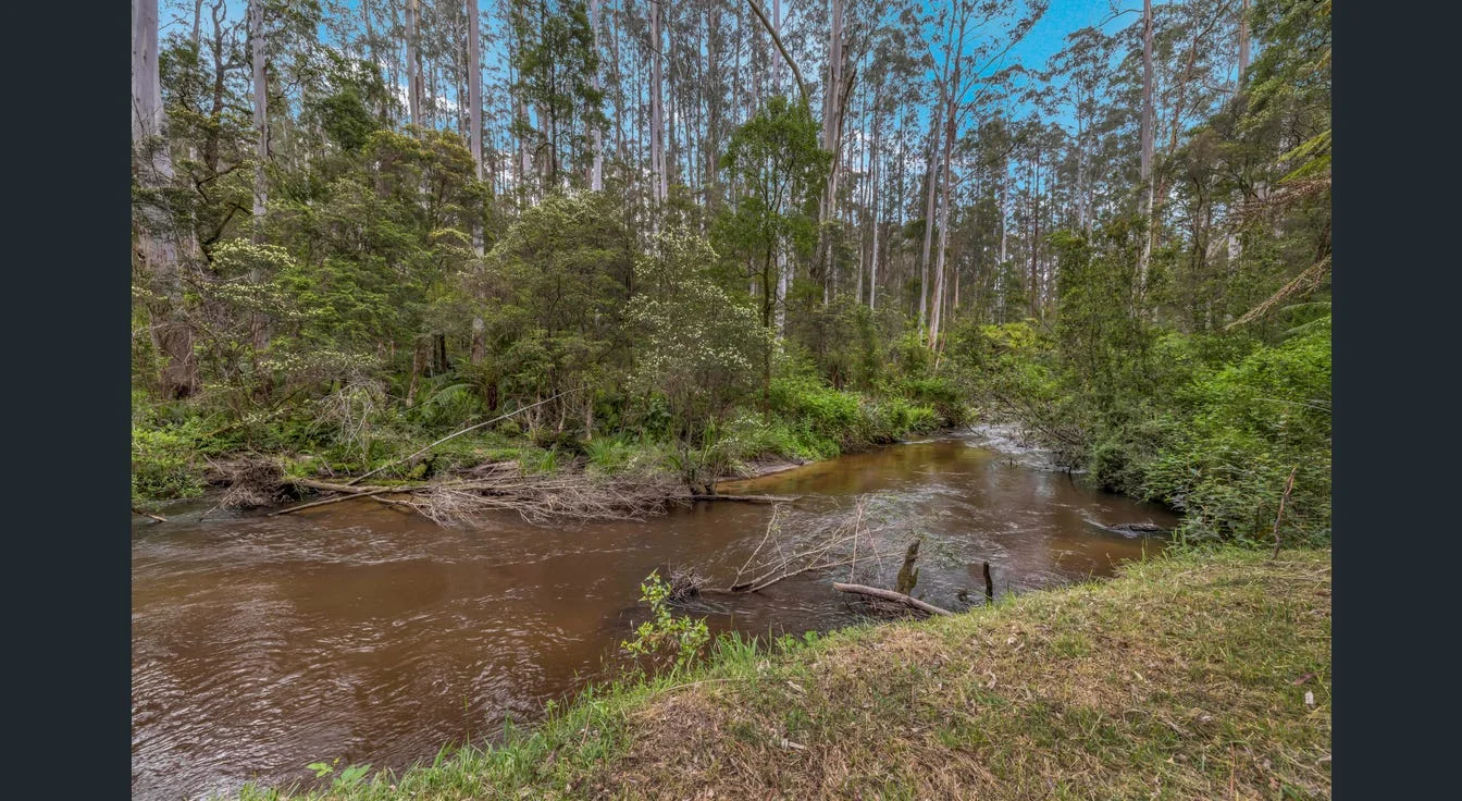 Additional image 20 of 293-295 Mt Baw Baw Tourist Road, Noojee VIC 3833