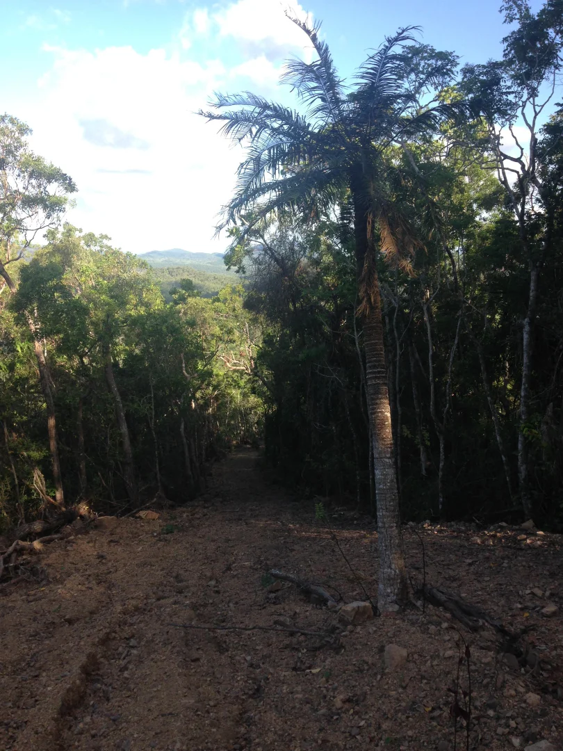 Additional image 14 of 1243 Yakapari-Seaforth Road, Mount Jukes QLD 4740