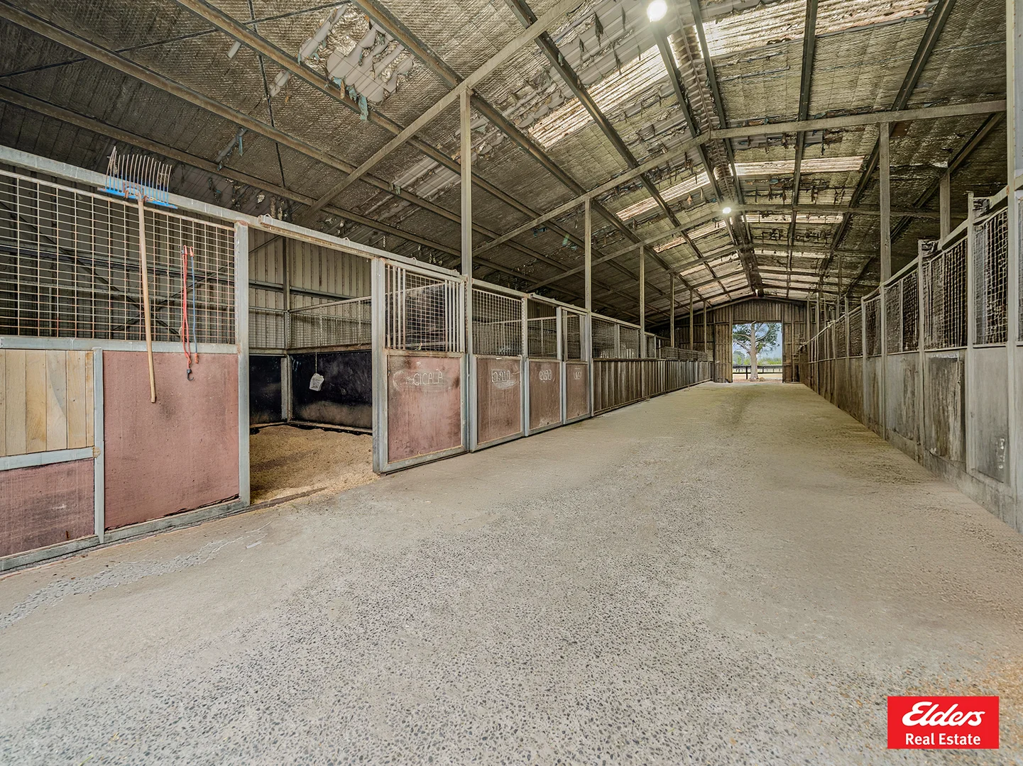 Additional image 14 of 1 Newell Road, Longwarry VIC 3816