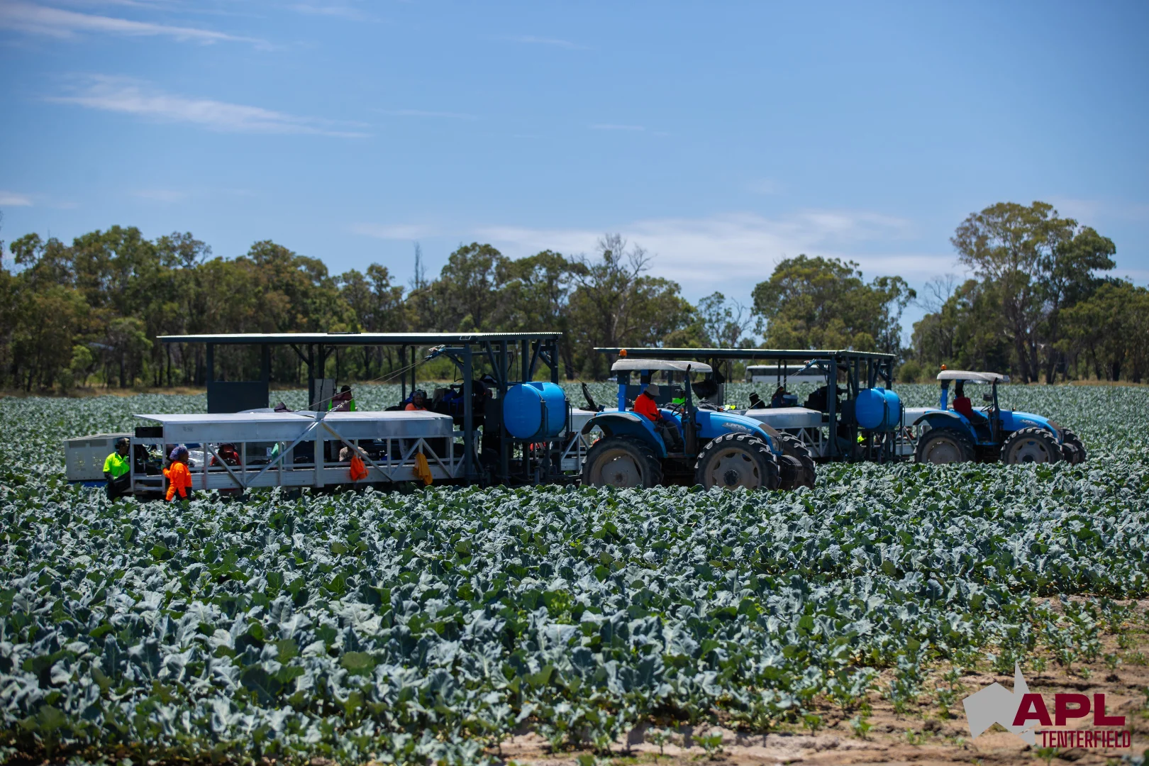 Additional image 26 of 1696 and 1799 New England Highway, Tenterfield NSW 2372
