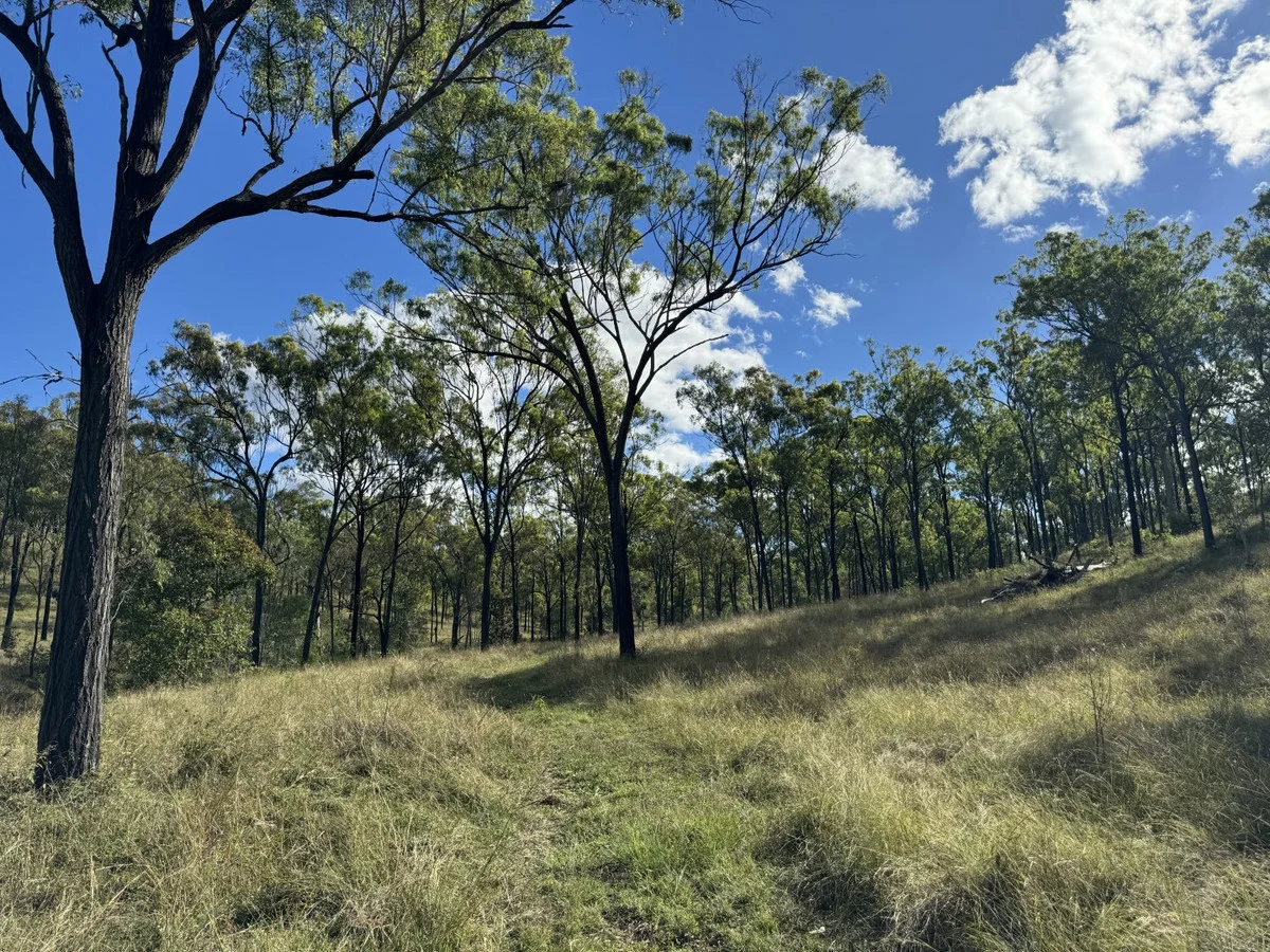 Additional image 18 of 186 Mungungo Creek Road, Monto QLD 4630