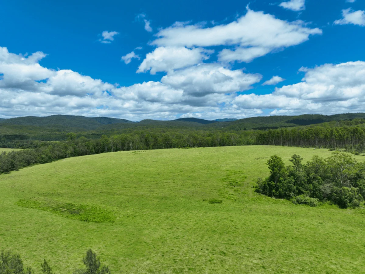 Additional image 12 of Paddy's Flat Road, Tabulam NSW 2469