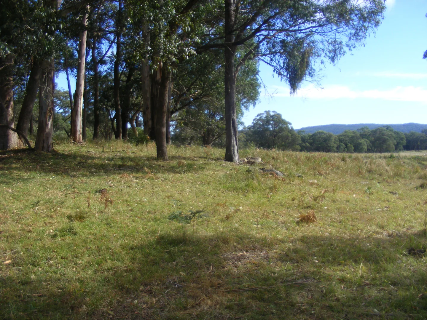 Additional image 17 of 618 Coopers Road, Red Range NSW 2370