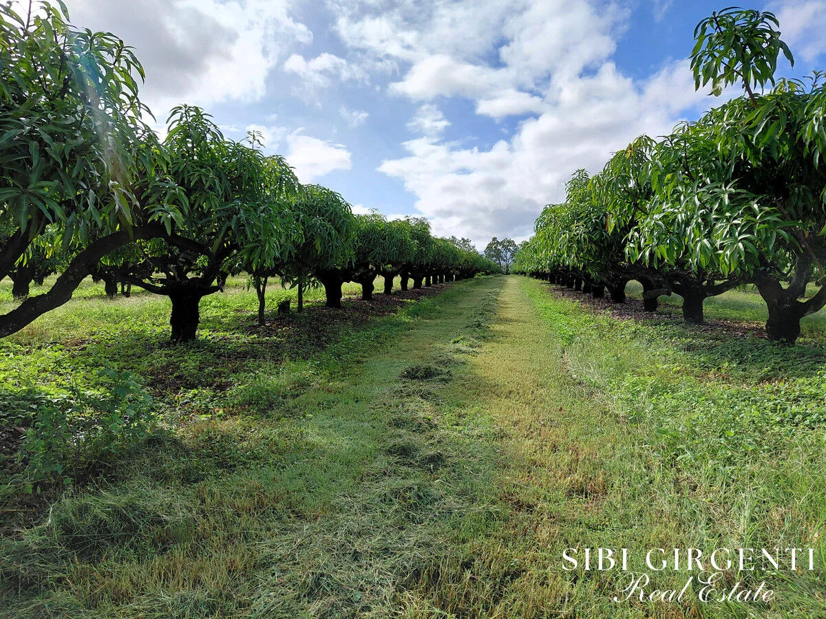 Additional image 6 of 263/71 Gilmore Road, Mareeba QLD 4880