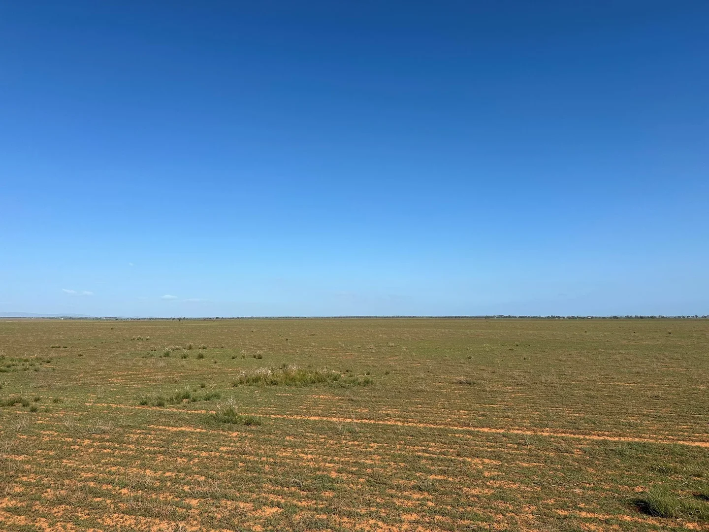 Additional image 19 of 'Daly's' Collins Road, Willowie SA 5431