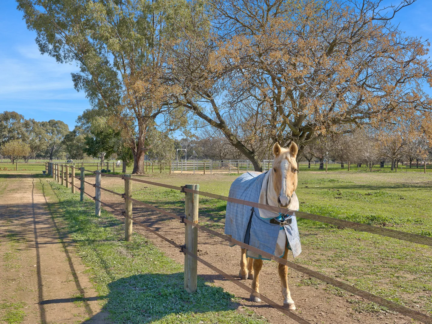 Additional image 21 of 364 Goomalibee Road, Benalla VIC 3672