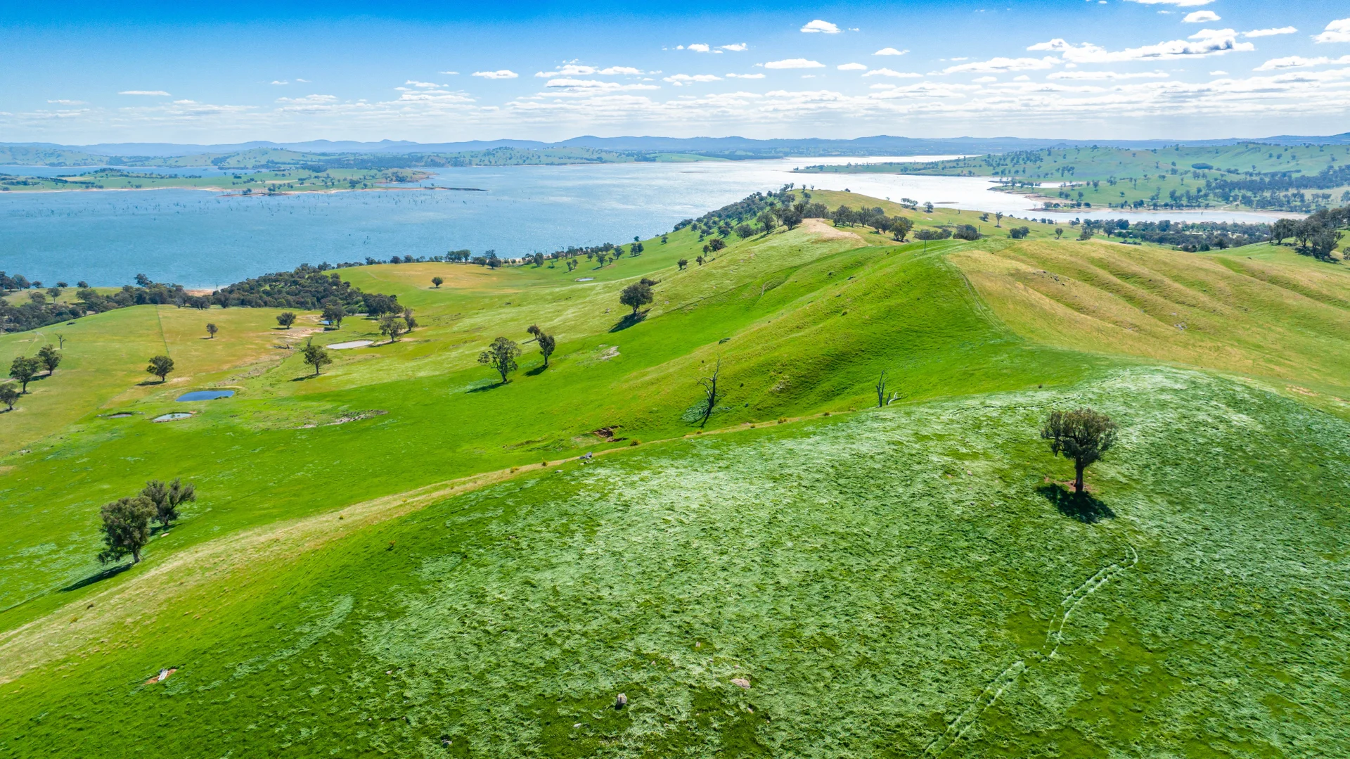 Additional image 3 of . Hore Road, Bowna NSW 2644