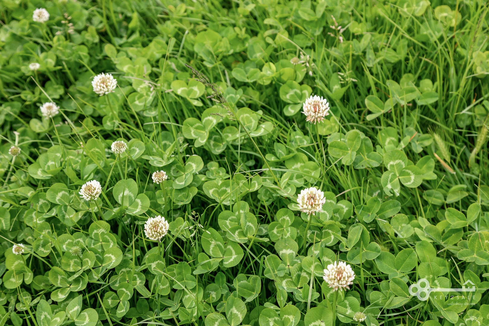 Additional image 6 of 560 McKenzie Road, Mingbool SA 5291